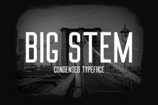 Big Stem Typeface: The Bold Choice for High-Impact Campaign Design