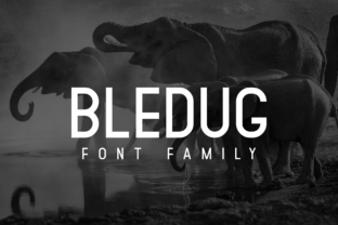 Bledug Family: A Bold Sans Serif Typeface for Crafters and Brand Builders