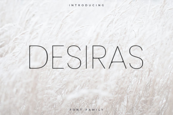 Desiras: The Minimalist Typeface That Elevates Campaign Clarity