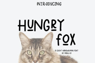 Hungry Fox Font Review: A Designer’s Take on This Playful Sans Serif