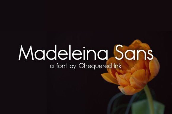 Madeleina: The Clean Sans Serif for Clearer Campaign Messaging
