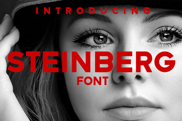Steinberg: The Modern Sans Serif Typeface for Digital Branding