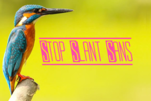 Stop Slant Sans: The Typeface Upgrade Your Brand Identity Needs