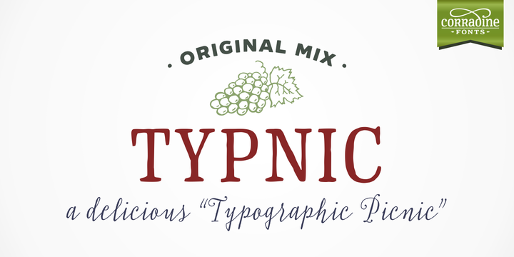 Typnic Family: A Hand-Drawn Sans Serif for Modern Web Design