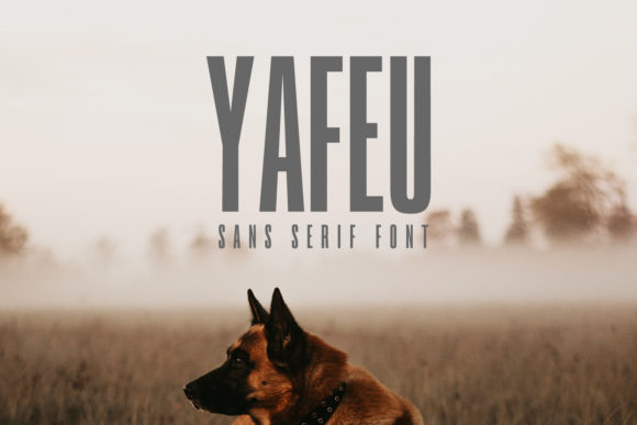 Yafeu Family: A Modern Sans Serif for Chic Editorial Design